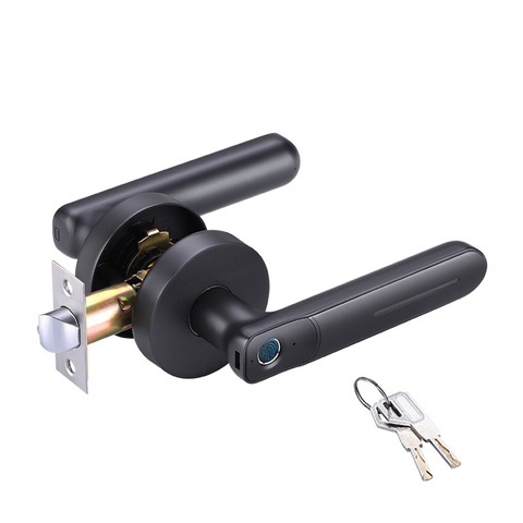 Smart Fingerprint Lock Electric Biometrics Door Lock 20 users with key for indoor home used ► Photo 1/6