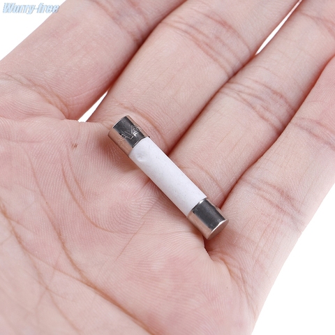 10Pcs/lot Microwave Ceramic Fuse Electric 20A 250V Home Supplies DIY 6x30mm ► Photo 1/6