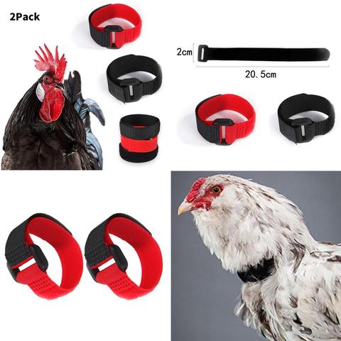 2pcs Anti Crow Rooster Collar No Crow Noise Neck Belt for Roosters Cockerel ► Photo 1/6