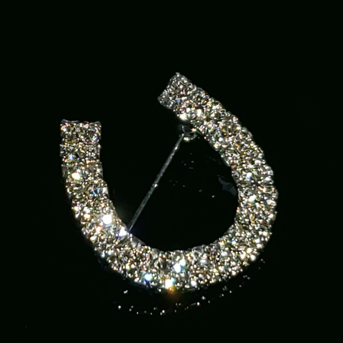 Crystal Handmade Lucky Horseshoe Brooch Jewelry Western Cowboy Lapel Pin Gift in Clear Rhinestone ► Photo 1/5