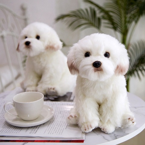 38cm High Quality Simulation Maltese Dog Plush Toy Soft Cartoon Animal Dog Stuffed Doll Home Decoration Baby Kid Birthday Gift ► Photo 1/5