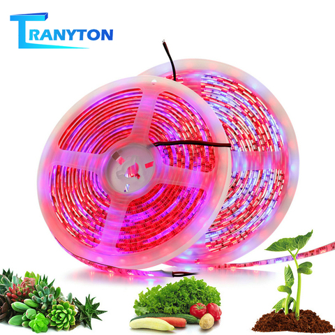 LED Grow Lights DC12V Red Blue Growing Strip 5050 Phyto Lamps Full Spectrum for Greenhouse Hydroponic Plant 5M/Lot ► Photo 1/6