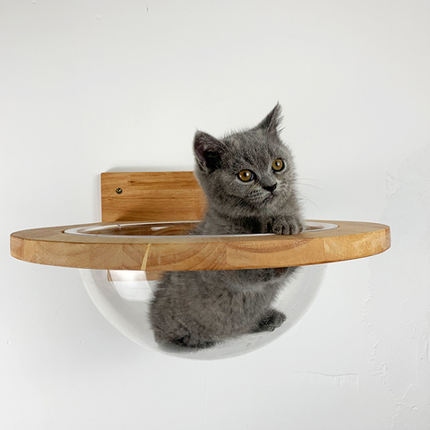 Pet Furniture Cat Wall House Wall-mounted Transparent Space Capsule Cat Tree Wooden Cat Climbing Frame Kitten Bed Springboard ► Photo 1/5