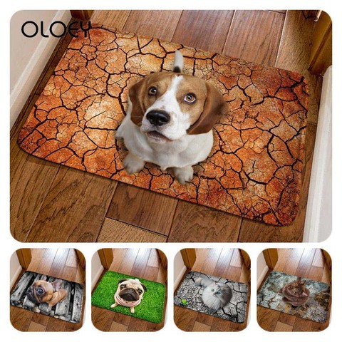 40 * 60cm 3D Printed Water-absorbing Dog Velvet Non-slip Carpet Kitchen Living Room Floor Mat Home Bedroom Decorative Floor Mat. ► Photo 1/6