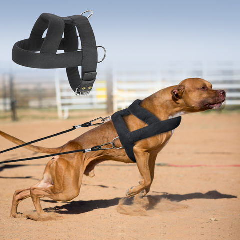 Dog Weight Pulling Harness Soft Padded Dogs Harnesses Pitbull K9 Large Dogs Training Harness Pet Agility Products ► Photo 1/6