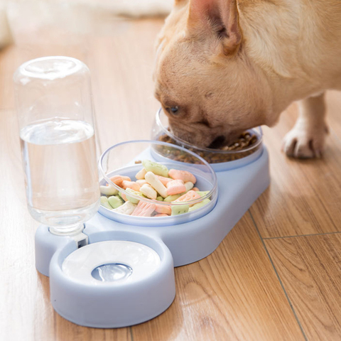 Double Pet Bowls Dog Food Water Feeder Stainless Steel Pet Drinking Dish  Feeder Cat Puppy Feeding Supplies Small Dog Accessories