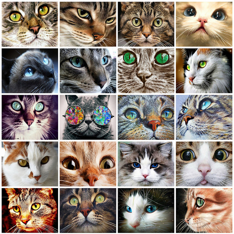 Evershine 5D DIY Diamond Painting Cat Full Square Diamond Embroidery Animals Mosaic Cross Stitch Crafts Kit Home Decoration ► Photo 1/6