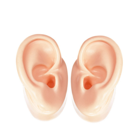 1Pair Silicone Ear Model Ear Display for Hearing Aids IEM Exhibition (1 left ear + 1 right ear) ► Photo 1/6