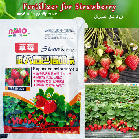 Special Strawberry Fertilizer Supplemental Plant Nutrition Hydroponics Expanded Fruit Rapid Rooting For Home Garden Bonsai ► Photo 1/6
