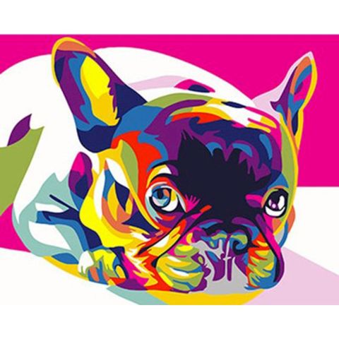 French Bull Dog DIY 40x50cm Painting By Numbers Animal Art Picture Coloring Modern Decoration Canvas Wall Acrylic Oil Paint Kit ► Photo 1/6