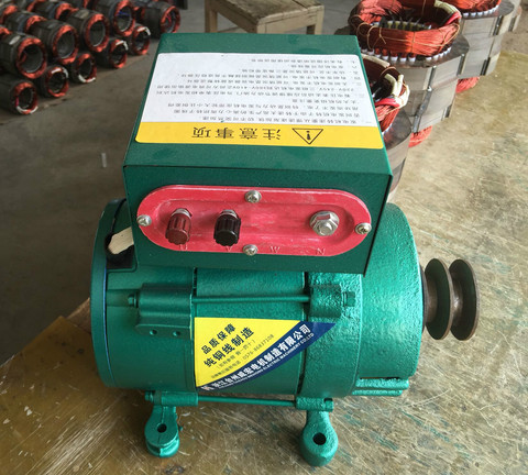 220V high power small generator 3000W single phase brushless excitation synchronous alternator frequency 50Hz 1500/2000/5000W ► Photo 1/3