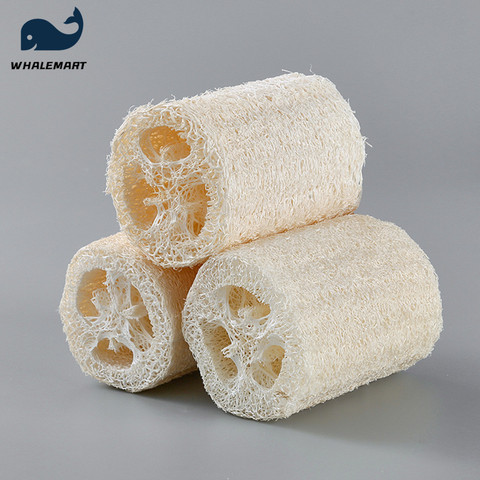 3pcs Loofah Soap Kits Nature Dry Loofah Plant For Making Handmade Soap Supplies Exfoliating Easy Foam Bubbles ► Photo 1/6