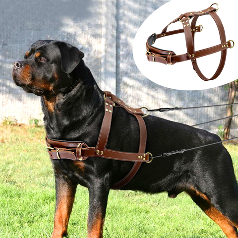 Real Leather Dog Harness Pet Training Products Strong Pulling Harness Vest For Large Dogs German Shepherd K9 Dog Agility Product ► Photo 1/6