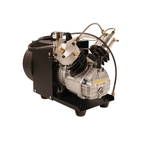 4500Psi 300Bar 30Mpa Mini-Double cylinder pcp air compressor for pneumatic rifle 110V 220V ► Photo 1/3