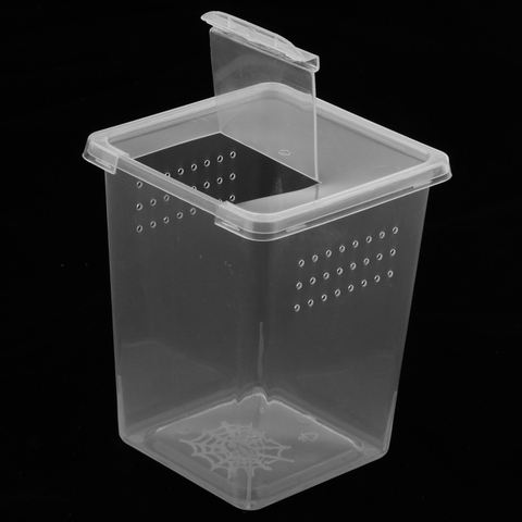 Plastic Insect Spider Habitat Feeding Box Case Container Tank Transport Case Hatching Tank ► Photo 1/6