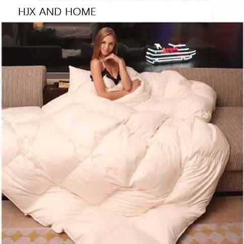 International brand 100% Goose Down Duvet quilted Quilt king queen full size Comforter Winter Thick Blanket Solid Color ► Photo 1/5