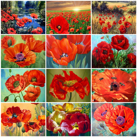 AZQSD DIY Adult Coloring By Numbers Flower Canvas Handpainted Gift Oil Painting By Numbers Poppy Acrylic Paint Handicraft ► Photo 1/6