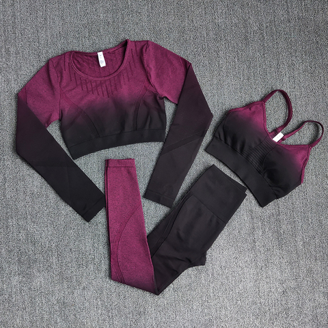 Ombre Women Yoga Set Seamless Leggings Long Sleeve Crop Top