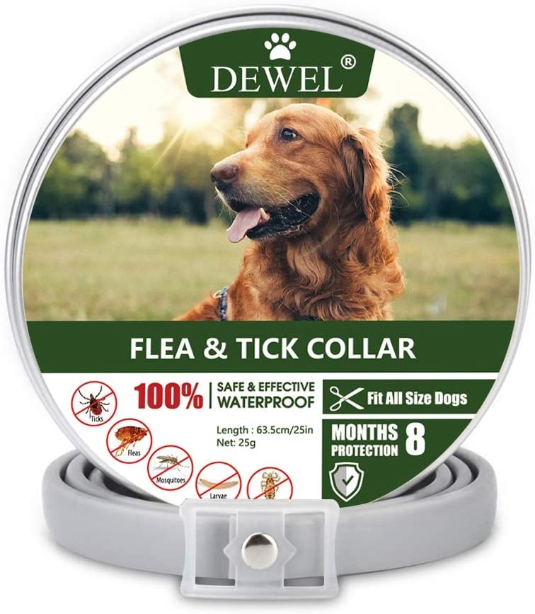 Pet Dogs Anti Flea and Tick 8 Months Protection Collar for All Sizes Adjustable 
