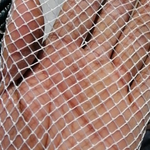 Semi-finished fishing net stake net Breeding nets Crop protection net Balcony isolation Multifunction nylon network hand net ► Photo 1/6