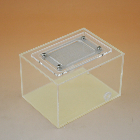 Ant castle Pet supplies small acrylic reptile box feeding box insect box insect box breeding box ant nest ► Photo 1/4