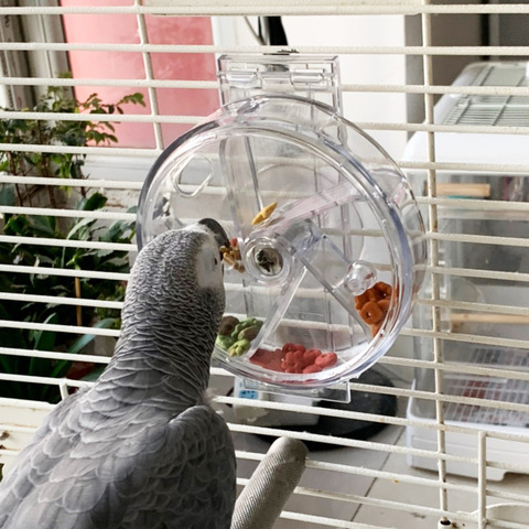 CAITEC Bird Toys Foraging Wheel Foraging Flywheel Tough Durable Bite Resistant Suitable for Medium Parrots Classic Parrot Toys ► Photo 1/5