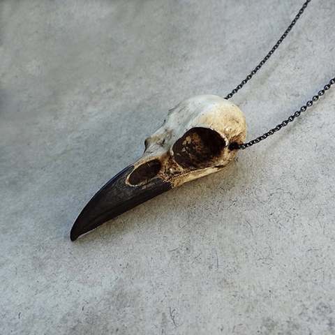 3D Raven Skull Necklace Resin Replica Raven Magpie Crow Poe Gothic Gift,Halloween Raven Skull Necklace,Goth Bird Skull Jewelry ► Photo 1/1