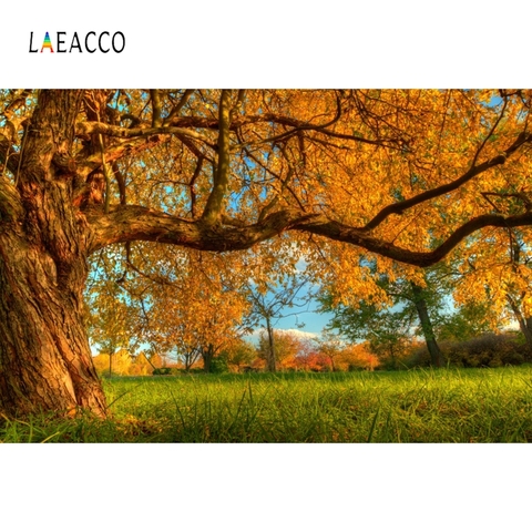 Laeacco Autumn Landscape Photophone Yellow Big Tree Grassland Photography Backdrops Photographic Backgrounds For Photo Studio ► Photo 1/4
