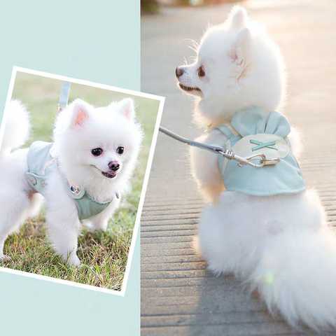 Cute Pet Dog Harness Leash Set Pet Chest Strap Breathable Dog Leash Walking Rope For Small Dogs Pomeranian Pet Vest Harness Rope ► Photo 1/6