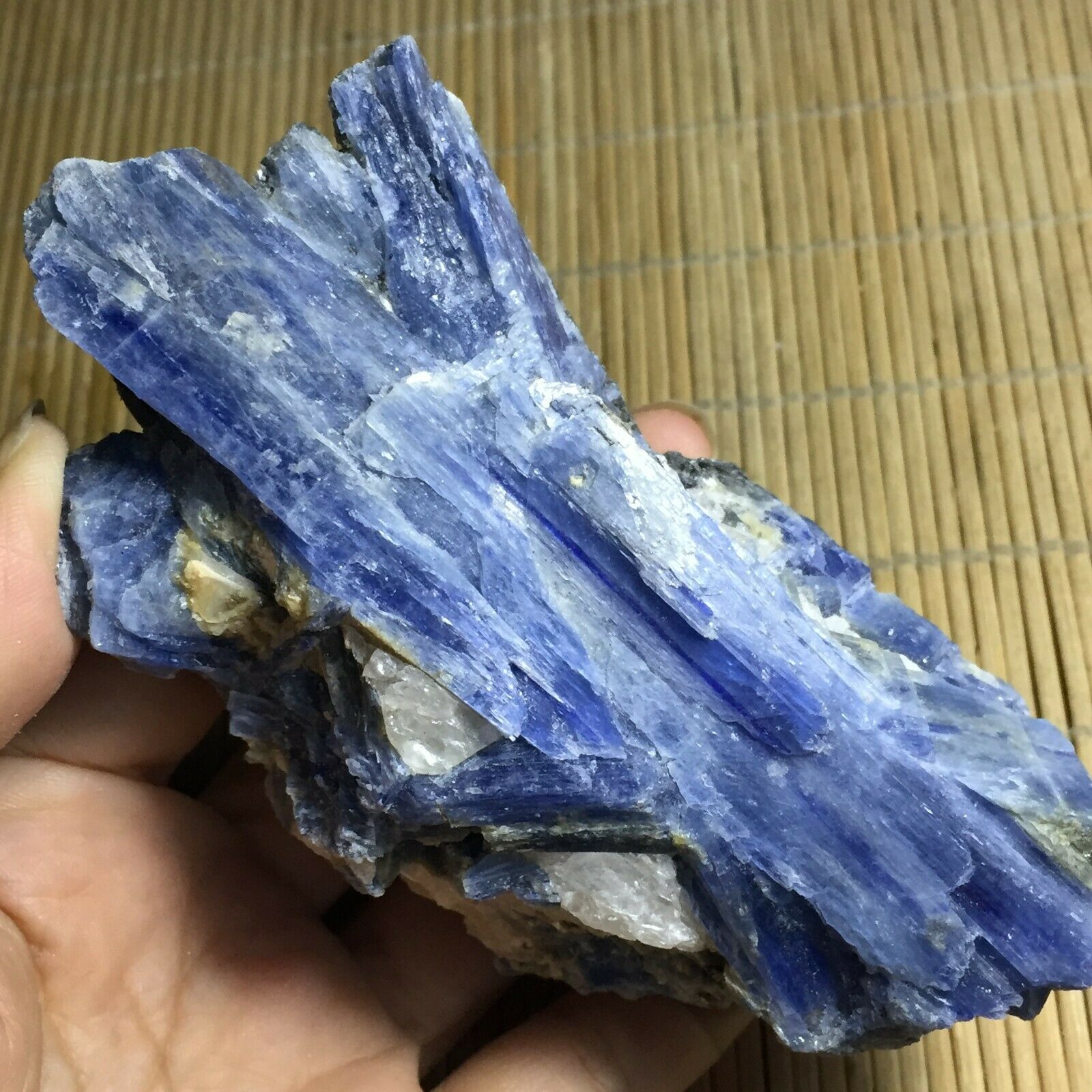 100G 100 pcs of Natural Blue Kyanite With Mica Quartz Crystal Specimen Rough 