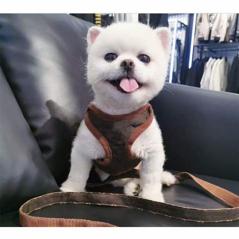 French Bulldog Pomeranian Pet Waistcoat Style Adjustable Leash Collar Harness Set for Small Dogs Outdoor Dog Dropshipping FHL01 ► Photo 1/5