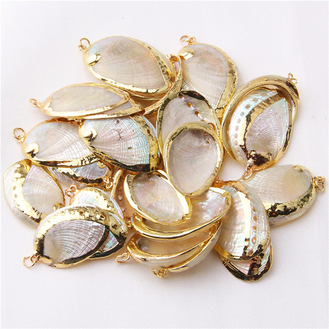 3PCS White Loose Clam Shells Cowrie Decorations Natural Sea Shells Charms Golden Plated Shells Crafts DIY for Jewelry Making ► Photo 1/5