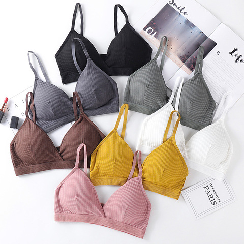 Sexy Push Up Bras For Women Padded Bra Cotton Comfort Wireless Brassiere  Seamless Bralette Padded Underwear Female Sexy Lingerie - Price history &  Review, AliExpress Seller - Fenland Clothes Store