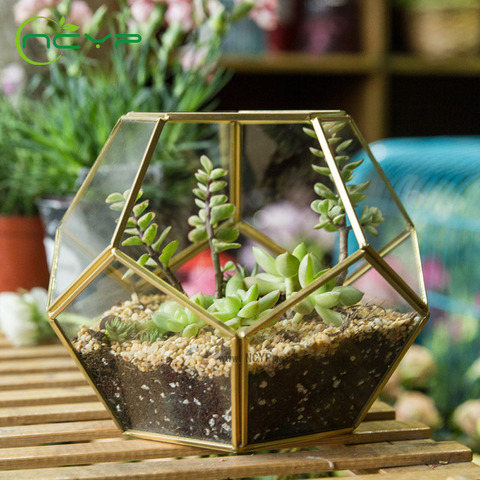 NCYP Modern Glass Terrarium Flower Pot Gold Geometric Terrarium Bonsai Flower Pots Plant Planter Desktop Display Flowerpot ► Photo 1/6