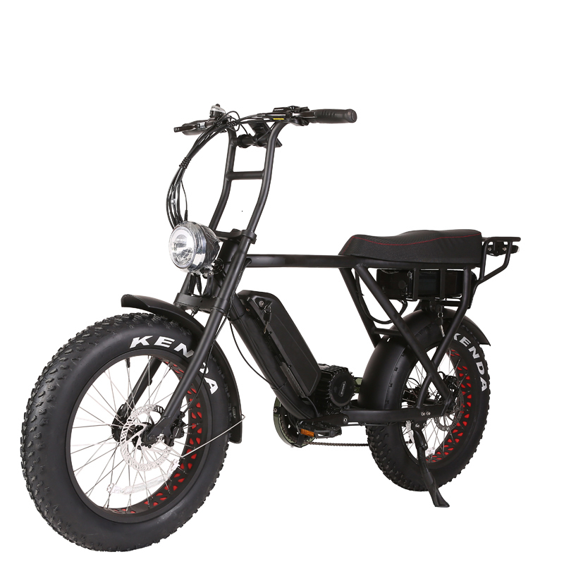 fat bike usa