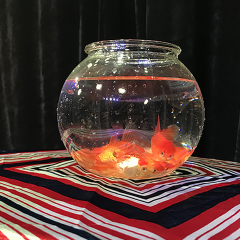 Magic Goldfish Bowl Small Magic Tricks Fish Appear Empty Bowl Magia Magician Stage Close Up Illusions Accessories Prop Mentalism ► Photo 1/3