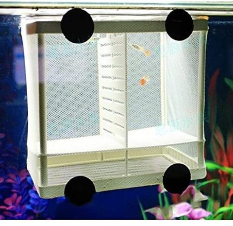 Aquarium Incubator Fish Breeding Breeder Box Baby Fish Hatchery Isolation Net Hanging Fish Tank Isolator Accessory Supplies ► Photo 1/6