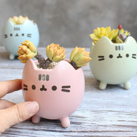 Succulent Plant Pot with Hole Cute Animal Flower Planter Flowerpot Lovely Little Cat Home Garden Decor Bonsai Pots Birthday Gift ► Photo 1/6