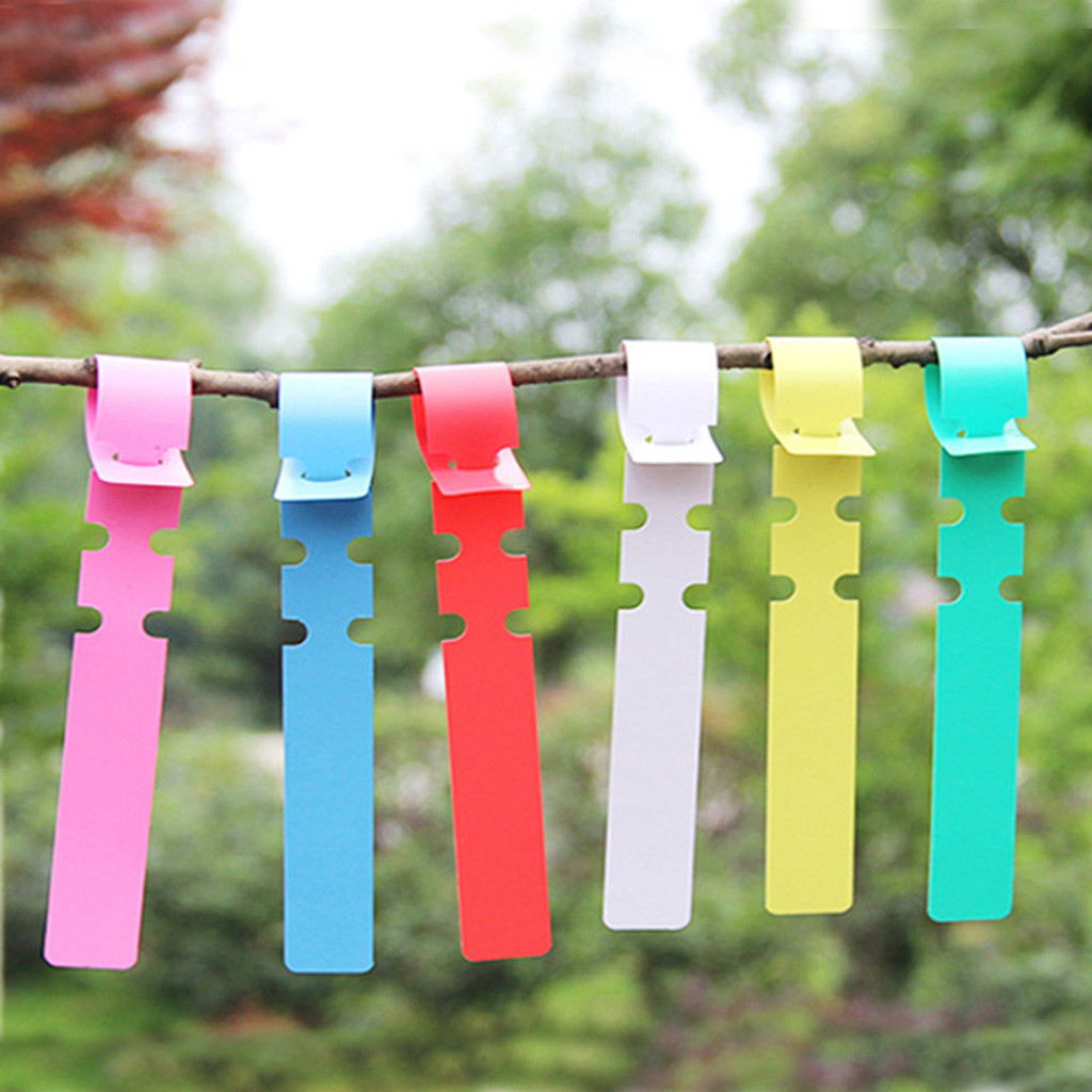 50/100Pcs Plant Tree Tags Labels Hanging Name Garden Seeds Nursery Marker Tool
