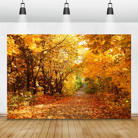 Laeacco Autumn Scenic Backdrops Landscape Yellow Forest Maple Trees Leaves Road Photography Backgrounds Baby Portrait Photophone ► Photo 1/6