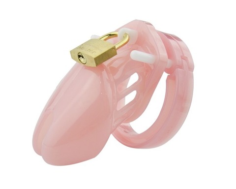 Sex Toys Small/Standard Male Chastity Device Cock Cage with 5 Size Rings Brass Lock Locking Number Tags Chastity Cage Male ► Photo 1/6