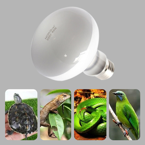 UVA+UVB Heating Lamp Heater Bulb For Turtle Lizard Reptile Pet Waterproof Daylight Lamp Aquarium Temperature Controller 220V ► Photo 1/6