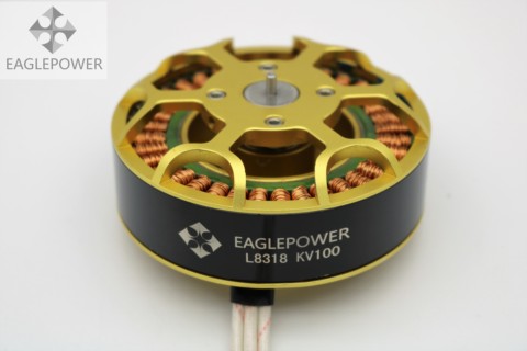 Eagle power 8318 100KV Rotor brushless motor agricultural drone motor Q9XL 9235 for 3080 Propeller 80A ESC motor Large torque ► Photo 1/4