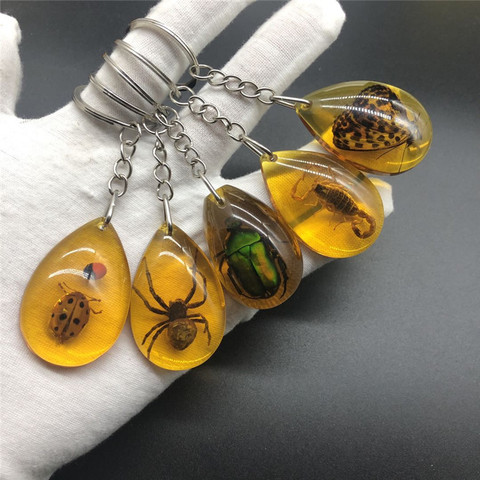 Charm Natural Amber Key chain Resin Insect Specimen Scorpion Butterfly beetle spider amber Key ring Jewelry Gifts for Women Men ► Photo 1/6