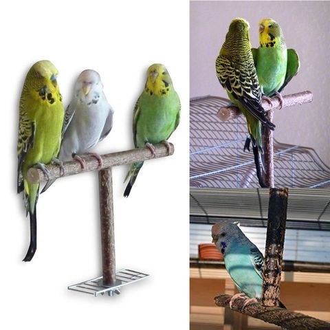 Bird Parrot Cage Toys Training T Perch Grinding Chewing Parakeet Wood Stand ► Photo 1/5