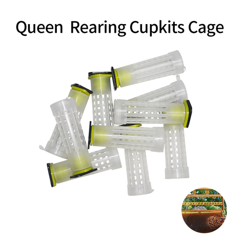 10Pcs Beekeping Tool  Nicot Queen Rearing Cupkits Cages Bees Roller Cage Holder Fixtures Apiculture Equipment ► Photo 1/6