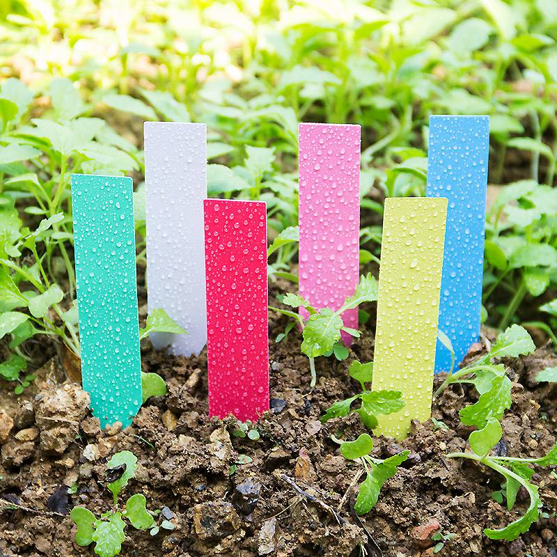 Reusable Plant Labels Marker Flower Tag Nursery Garden Plastic Stakes 100pcs