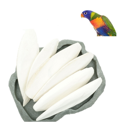 2022 New 1Pack Cuttlebone Cuttlefish Sepia Bone Cuttle Fish Bird Food Calcium Pickstone Parrot Birds Teeth Grind Training ► Photo 1/4