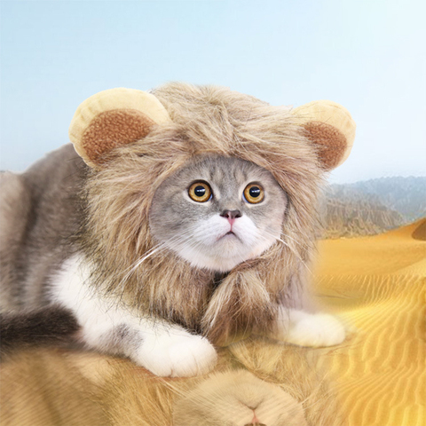 Funny Pet Cat Wig Costume Cute Lion Mane Wig Cap Hat for Cat Dog Halloween Christmas Clothes Fancy Dress Clothes with Ears ► Photo 1/6