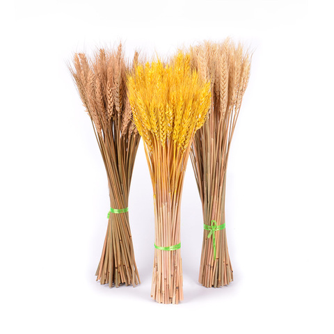 30pcs Dried Flowers Bouquet Real Natural Dried Flowers Bundles Artificial  Flowers for Home Vase Wedding Photography Props Decor